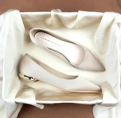 Women Flat Pumps Thin Low Heels for Women Pointed Toe Shallow Slip on Casual Work Office Female Elegant Shoes Zapatillas Mujer