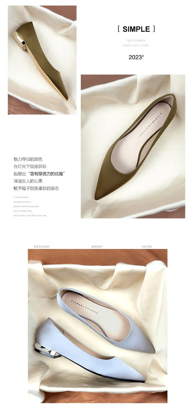 Women Flat Pumps Thin Low Heels for Women Pointed Toe Shallow Slip on Casual Work Office Female Elegant Shoes Zapatillas Mujer