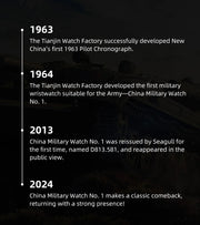 Seagull Luxury Bracelet Military Men Watch Automatic Mechanical Watches For Men Wear Resistant Leather Strap Luminous Clock D581