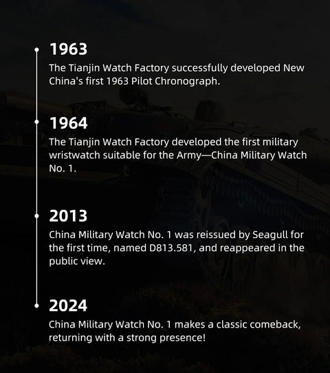 Seagull Luxury Bracelet Military Men Watch Automatic Mechanical Watches For Men Wear Resistant Leather Strap Luminous Clock D581
