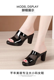 Mesh Summer Heeled Slippers Ladies Shoes for Women Sandals 2023 Peep Toe Outside Women's Rubber Slipper Female Platform Sandals