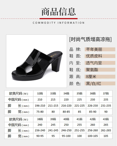 Mesh Summer Heeled Slippers Ladies Shoes for Women Sandals 2023 Peep Toe Outside Women's Rubber Slipper Female Platform Sandals